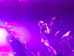 Beverse Feesten 2019